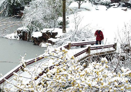 暴雪（自然天气现象）