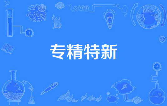 专精特新（网络流行语）