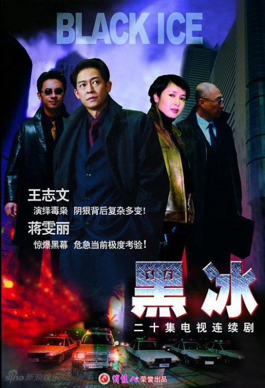 黑冰（2001年蒋雯丽主演的电视剧）