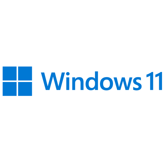 Windows 11