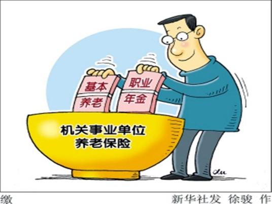 职业年金