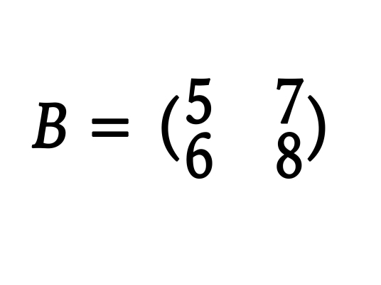 矩阵（数学术语）