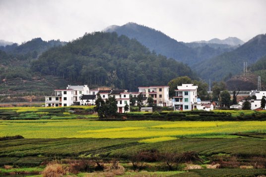 乡村（乡村地区人类各种形式的居住场所）