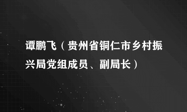 谭鹏飞（贵州省铜仁市乡村振兴局党组成员、副局长）