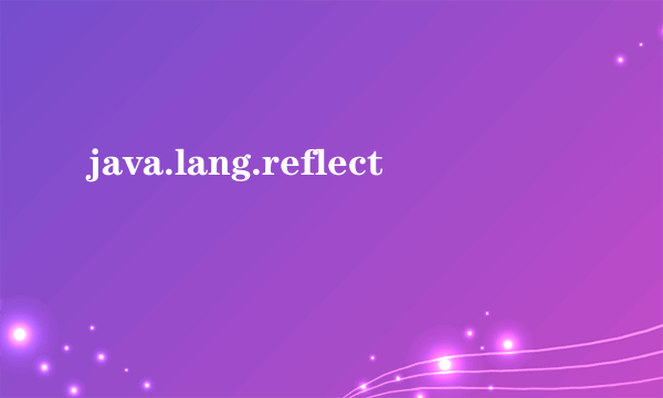 java.lang.reflect