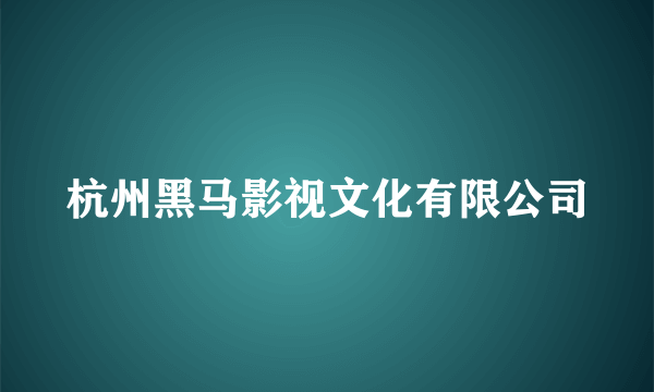 杭州黑马影视文化有限公司