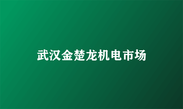 武汉金楚龙机电市场