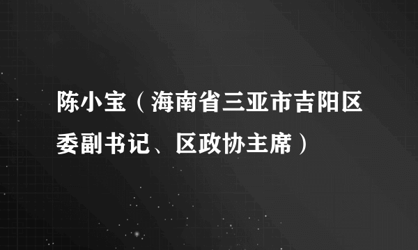 陈小宝（海南省三亚市吉阳区委副书记、区政协主席）