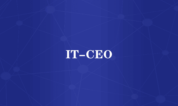 IT-CEO