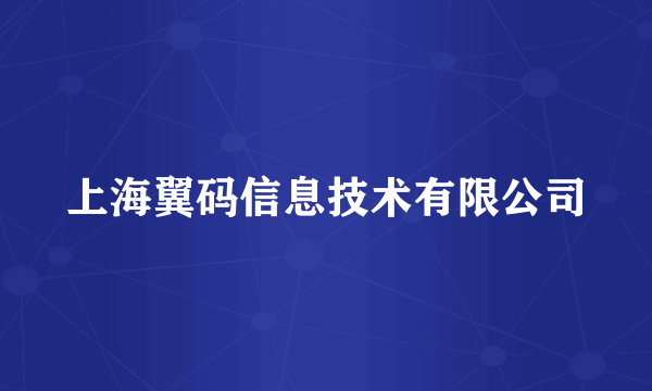 上海翼码信息技术有限公司