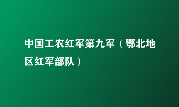 中国工农红军第九军（鄂北地区红军部队）