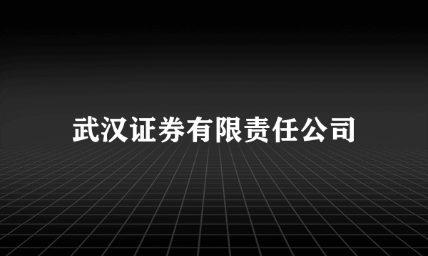 武汉证券有限责任公司