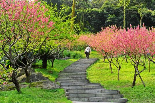 桃花涧（江苏省国家4A级旅游景区）