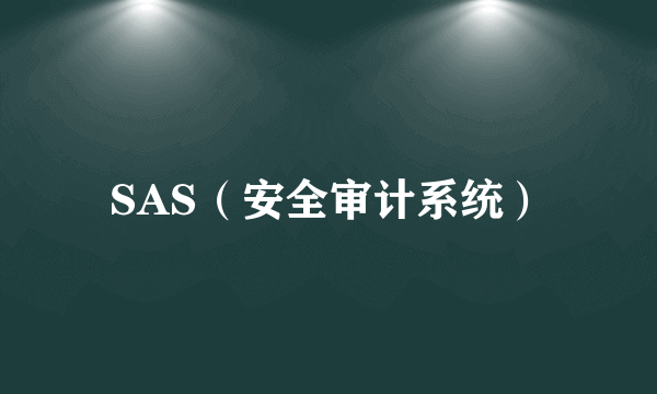 SAS（安全审计系统）