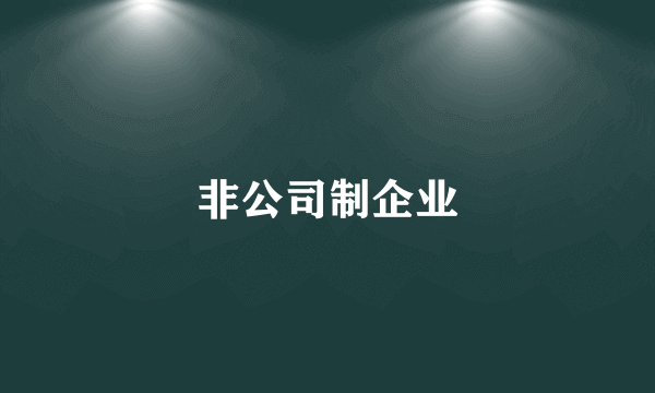 非公司制企业