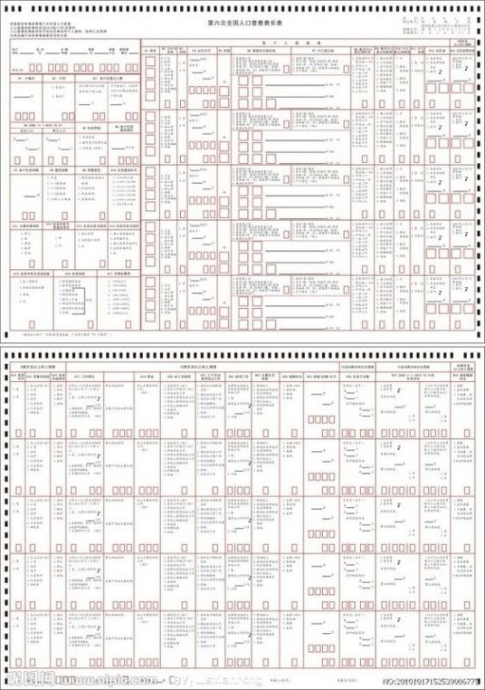 第六次全国人口普查表长表