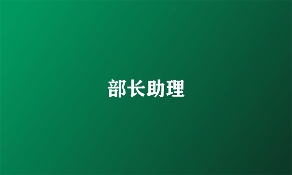 部长助理