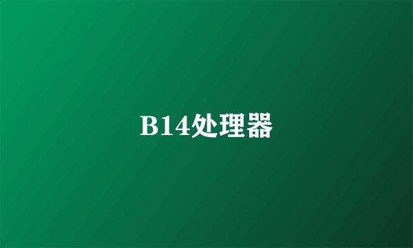 B14处理器