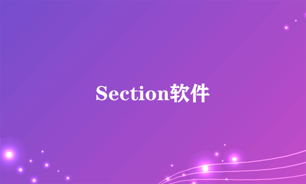 Section软件