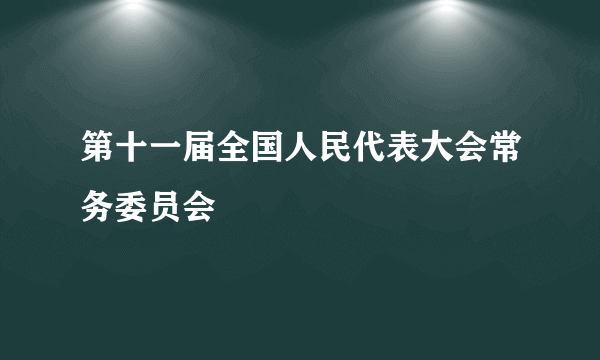 第十一届全国人民代表大会常务委员会