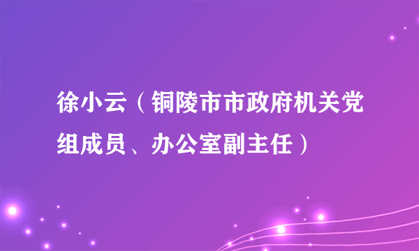 徐小云（铜陵市市政府机关党组成员、办公室副主任）