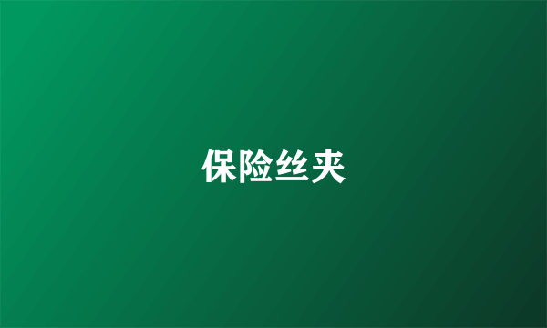 保险丝夹