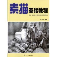 素描基础教程（2010年化学工业出版社出版的图书）