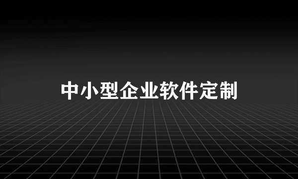 中小型企业软件定制