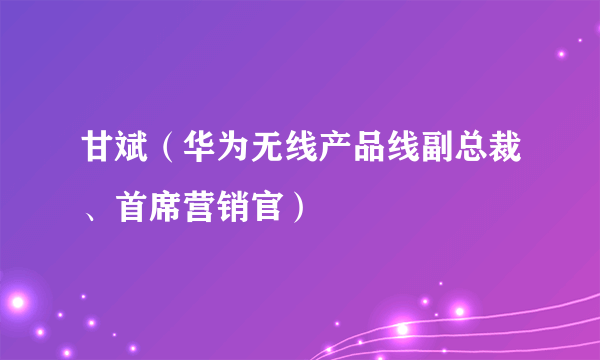 甘斌（华为无线产品线副总裁、首席营销官）