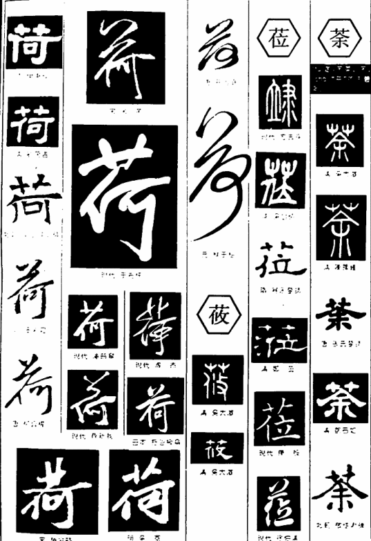 字典大全