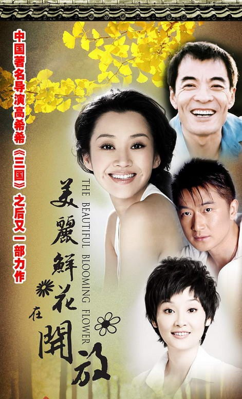 美丽鲜花在开放（2010年高希希执导电视剧）