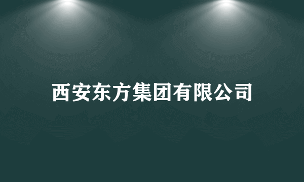 西安东方集团有限公司