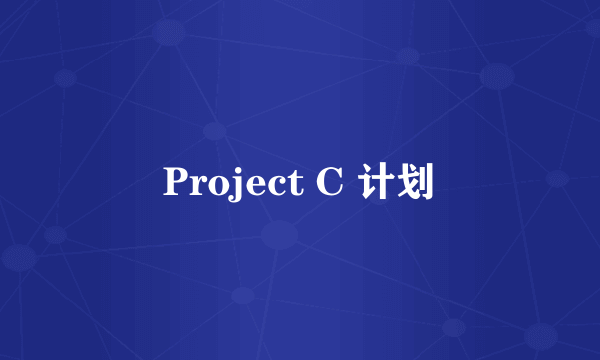 Project C 计划