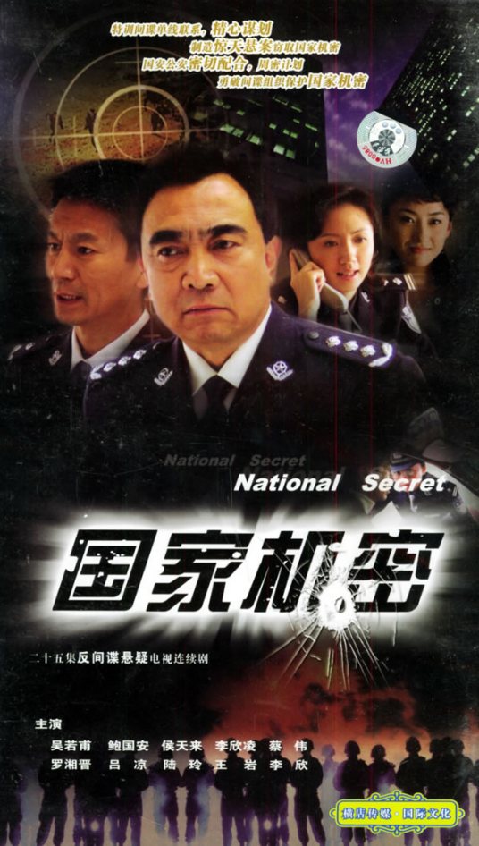 国家机密（2004年陈应歧导演电视剧）