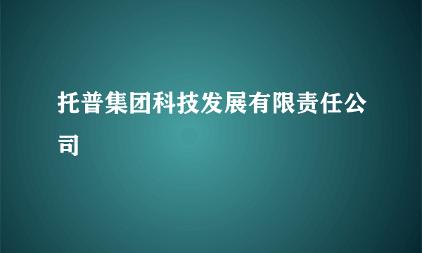 托普集团科技发展有限责任公司