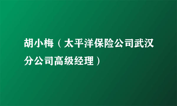 胡小梅（太平洋保险公司武汉分公司高级经理）