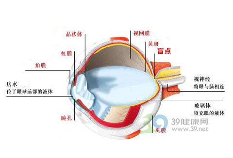 视觉盲点