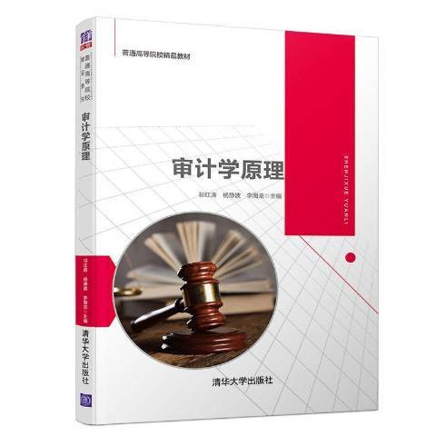 审计学原理（2020年清华大学出版社出版的图书）