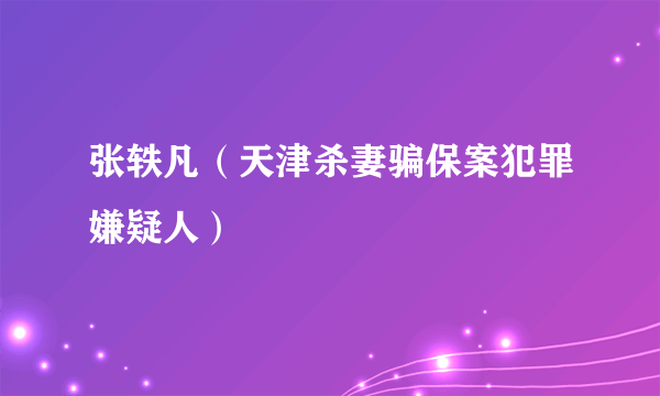 张轶凡（天津杀妻骗保案犯罪嫌疑人）