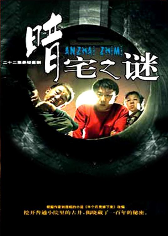 暗宅之谜（2008年李小平执导的悬疑伦理剧）