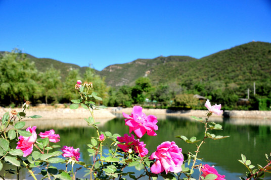 北京静之湖