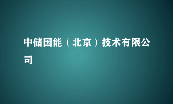 中储国能（北京）技术有限公司