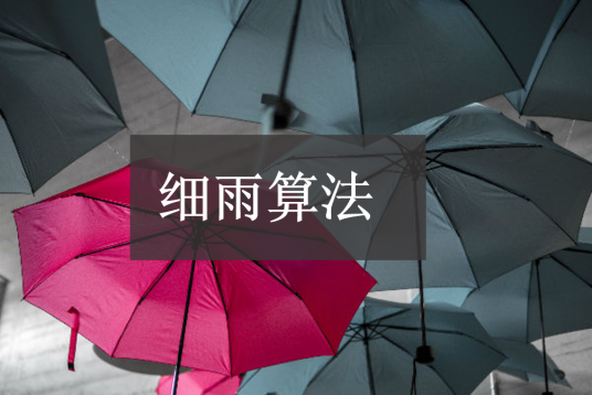 细雨算法