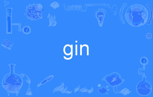 gin（英文单词）