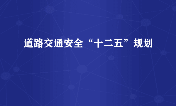 道路交通安全“十二五”规划