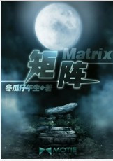 矩阵(Matrix)