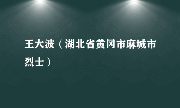 王大波（湖北省黄冈市麻城市烈士）