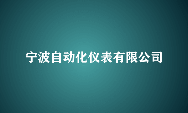 宁波自动化仪表有限公司