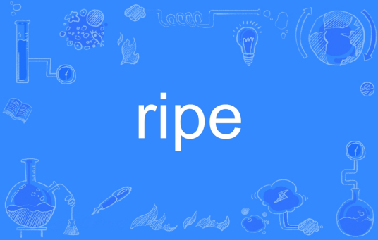 RIPE（英文单词）