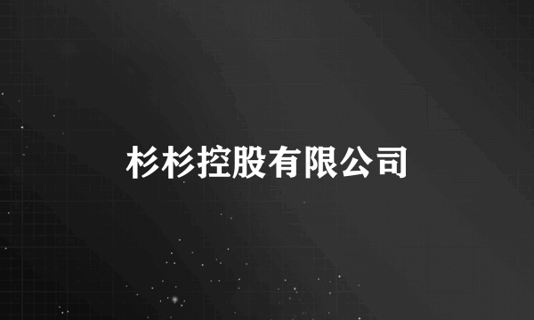 杉杉控股有限公司